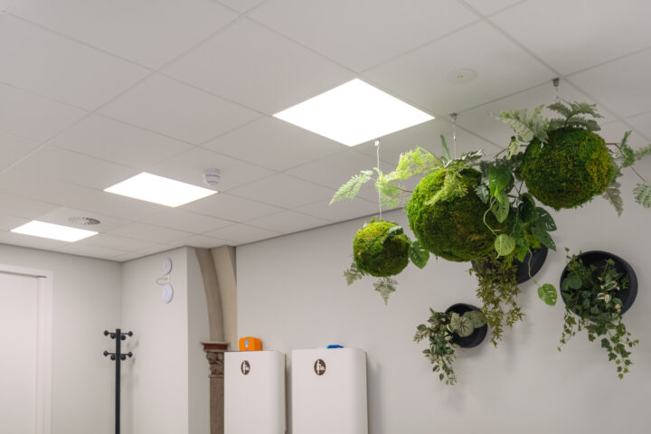 ETK licht - De Bernardus-Made - 49 ETK licht - De Bernardus-Made - 49