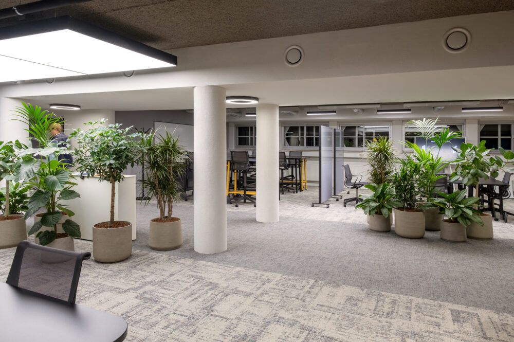 EY-DenHaag-02-DSCF2817